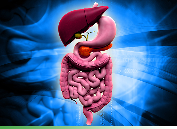 DARMPROBLEME naturheilkundlich beheben