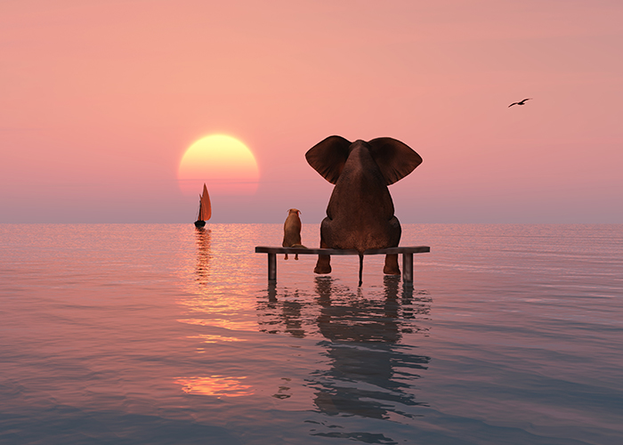 chronische Schmerzen